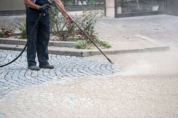 Best Residential Exterior Washing  in USA
